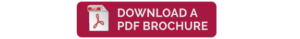 brochure button
