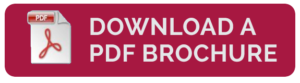 download button