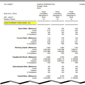 Financial Reports 8