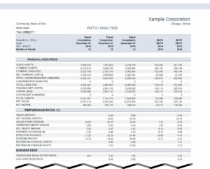 Financial Reports 1 Ratios