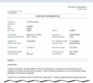 Financial Reports 10 Company Info