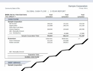 Financial Reports 11 Global NI 3 Yrs