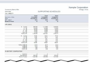 Financial Reports 4 Supporting Schedules