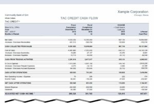 Financial Reports 6 TAC CREDIT Cash Flow
